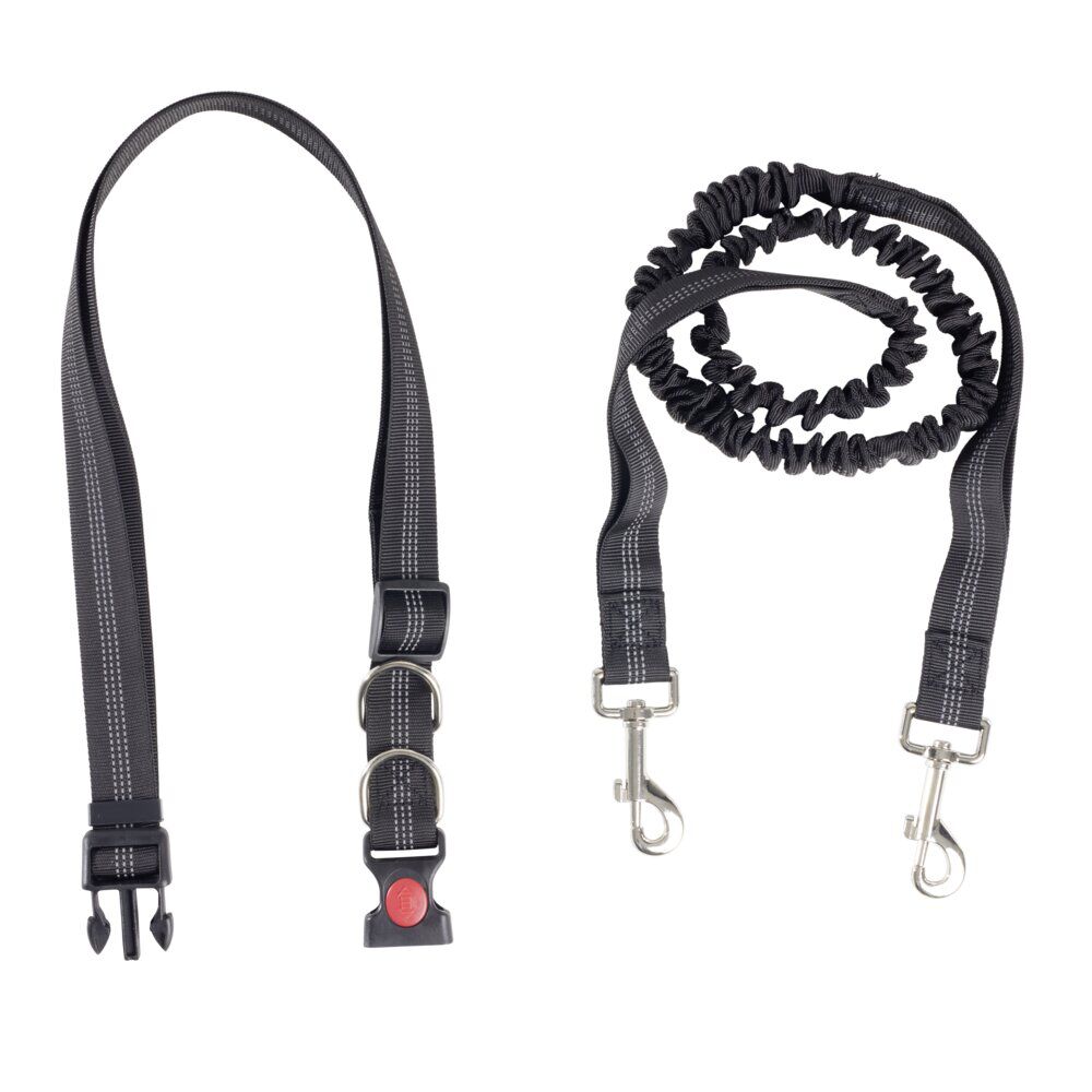 Laisse traction jogging canicross avec ceinture dorsale L120cm