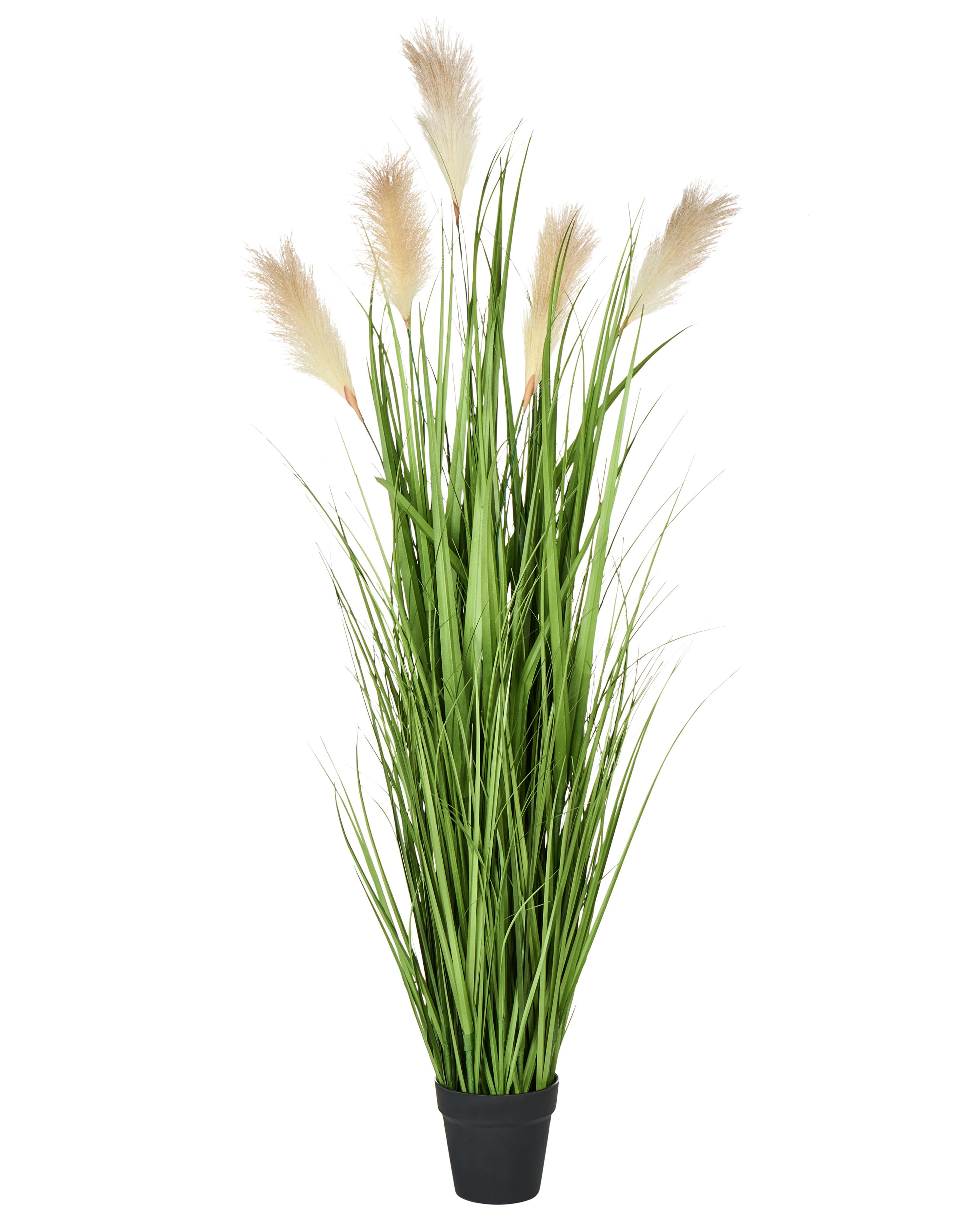 Artificial Plant PAMPAS GRASS 130 cm Green