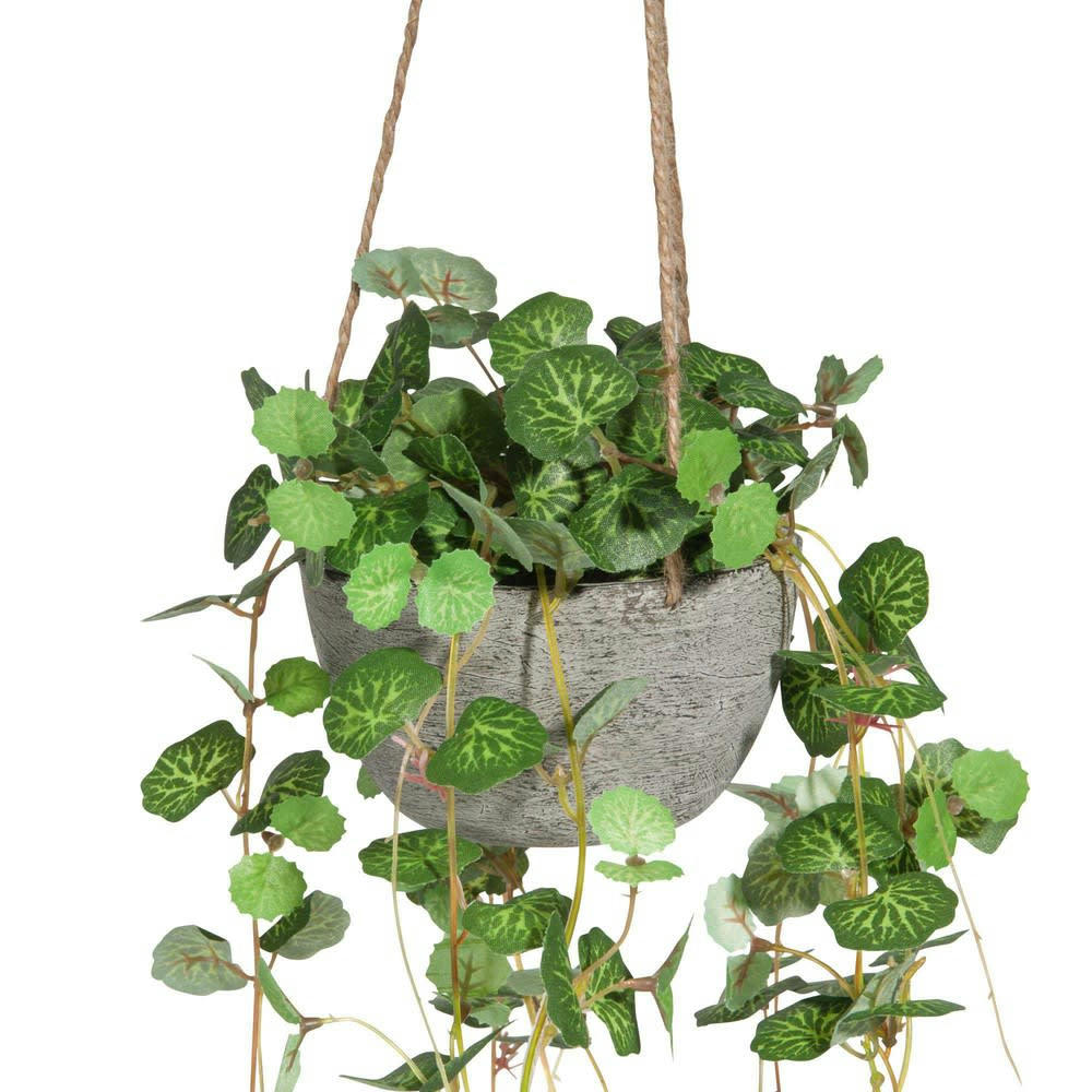- Plante artificielle suspendue