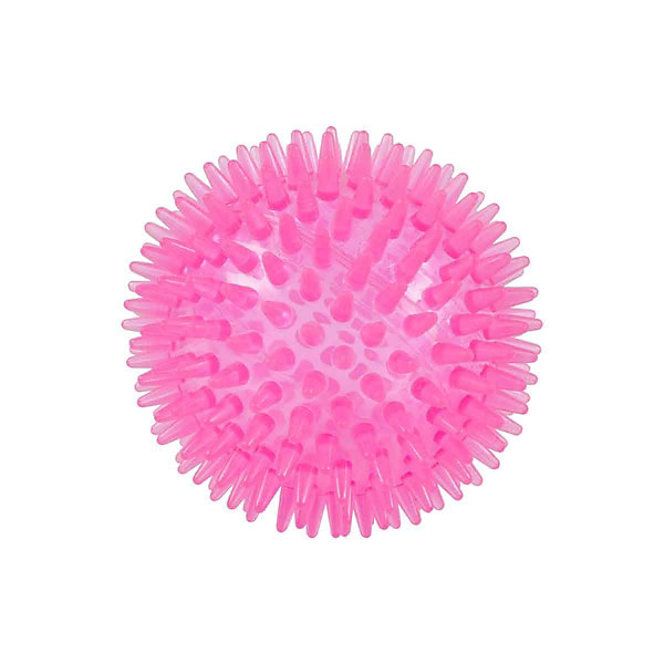 Lot de 2 Jouets pour Chien 