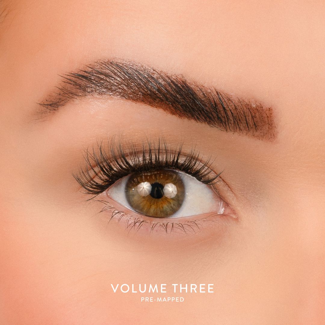 House of Amor Volume 3 - Pre Mapped Multipack