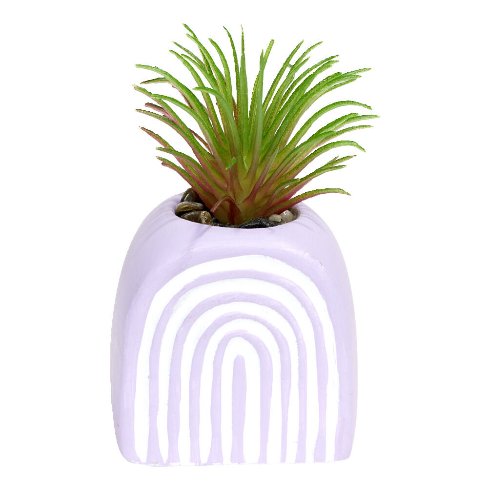 Plante grasse artificielle H9cm pot ciment (3 modèles)