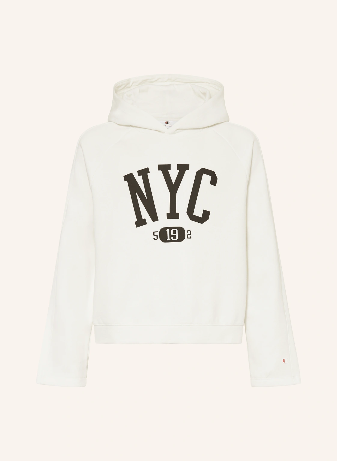 Champion Hoodie