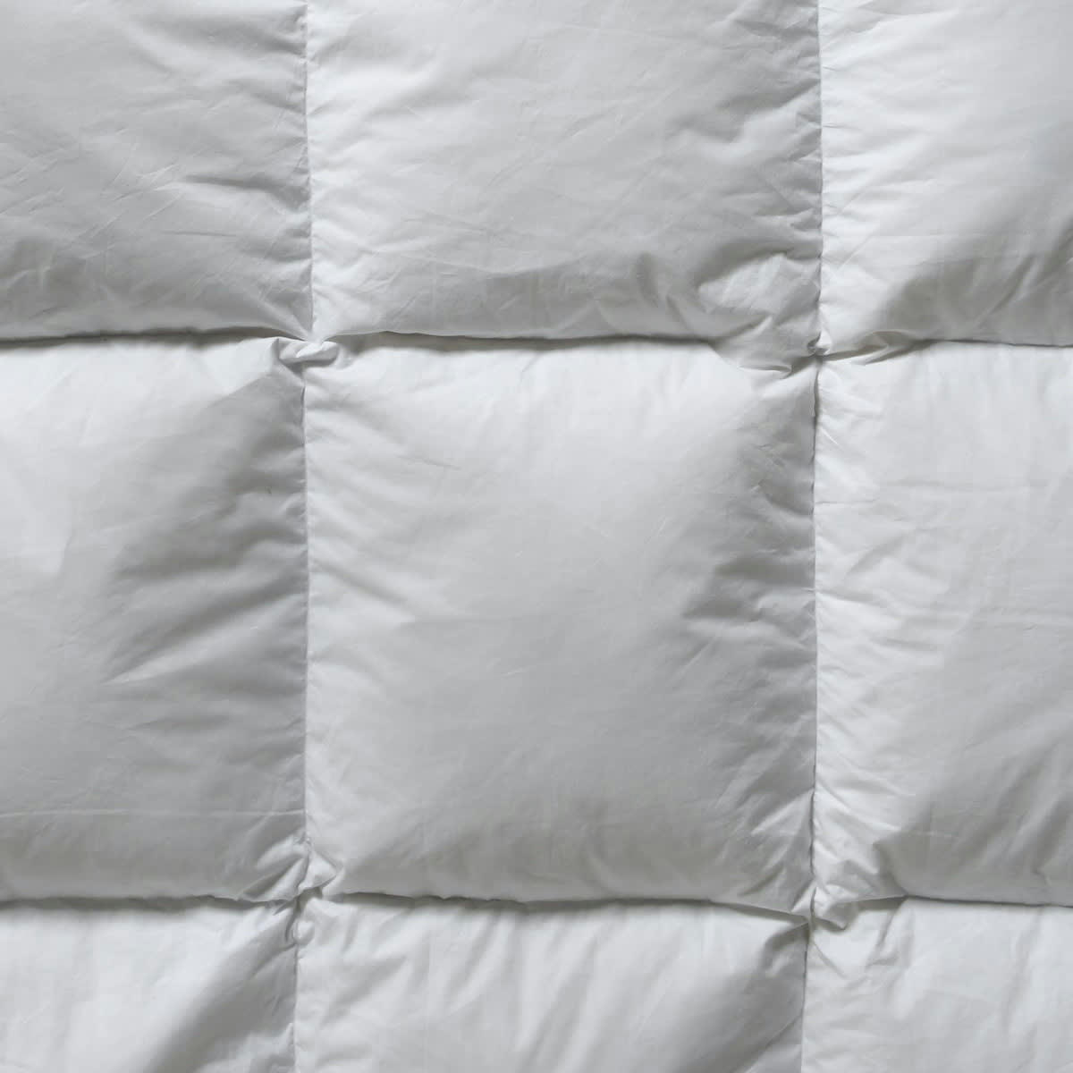 HIMALAYA - Couette en microfibre enveloppe coton bio  te  260x240 cm