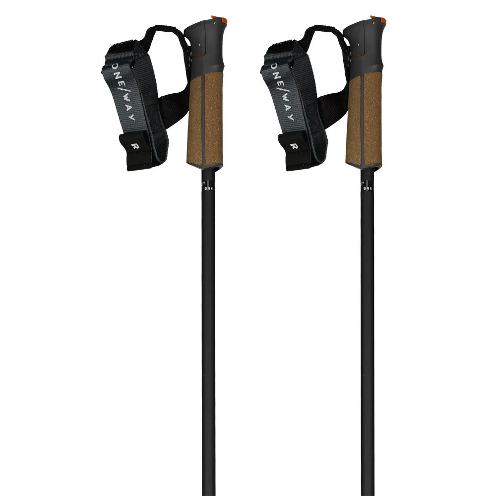Fischer GT 13 Carbon Mag poles