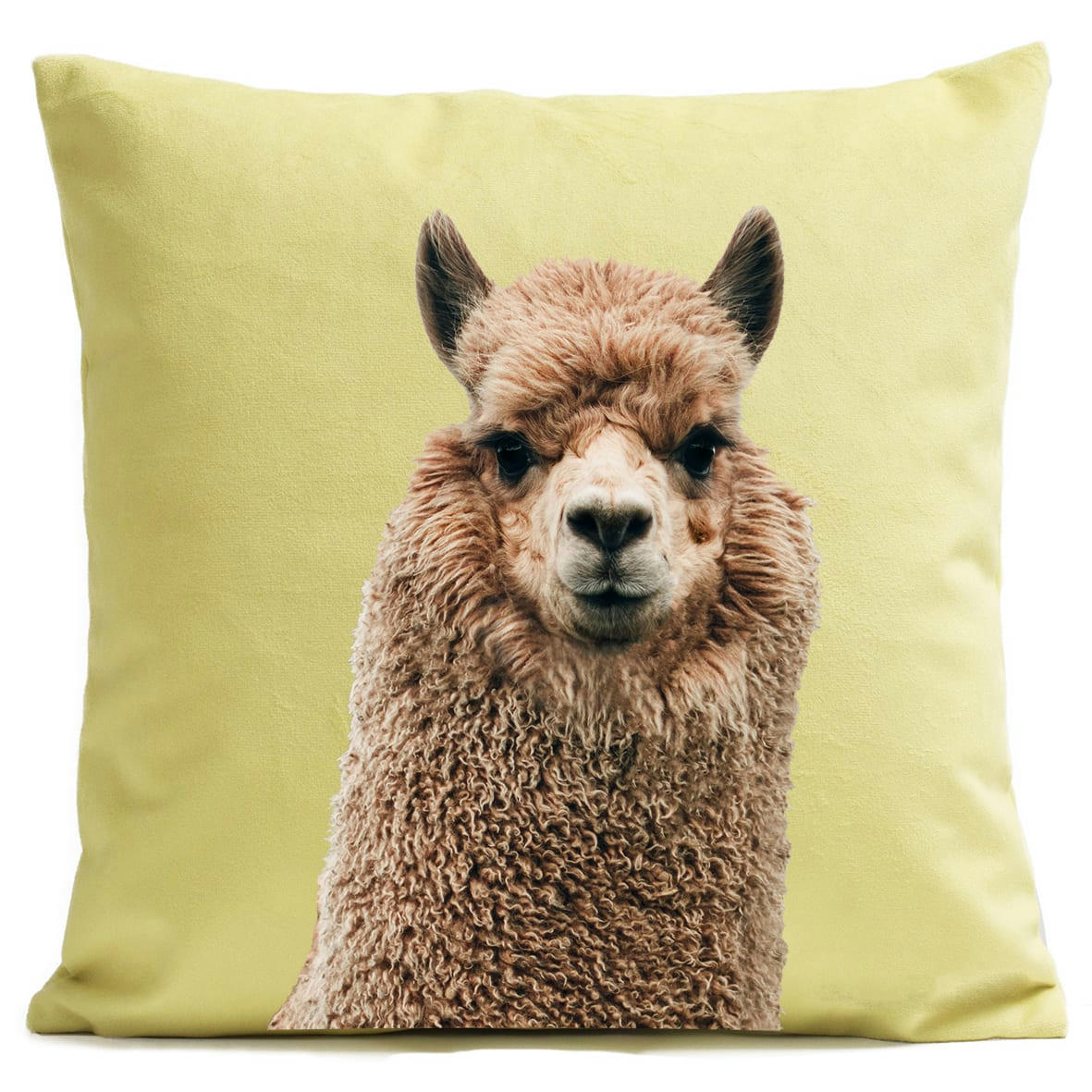 - Coussin animal alpaga suédine jaune 40x40cm