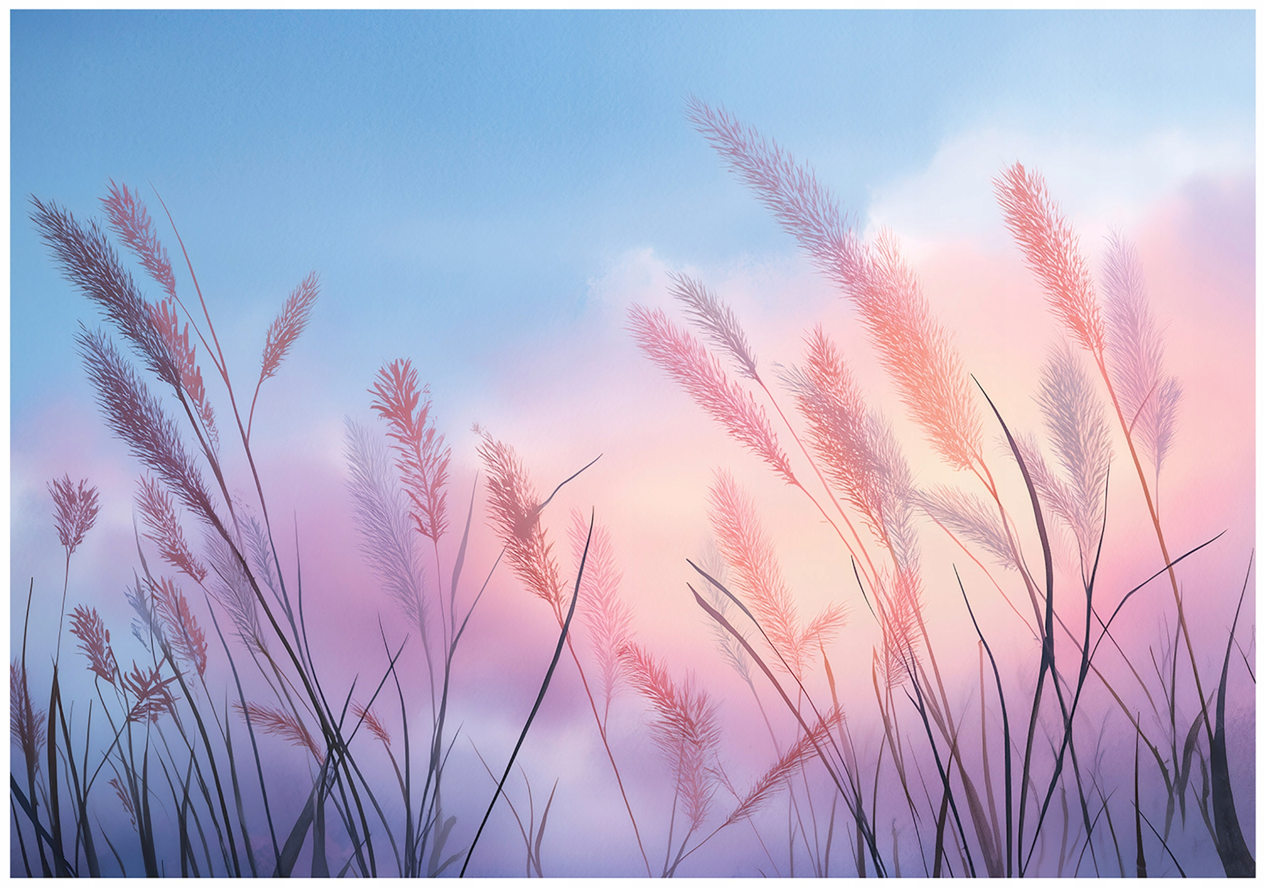 Fototapeta Trawa Pampas Niebieski Na Flizelinie Do Sypialni Salonu 250x175
