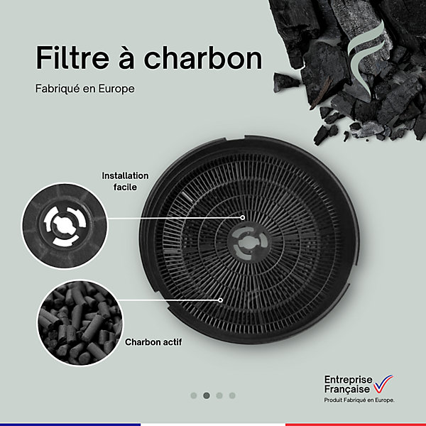 Lot de 2 Filtres à Charbon pour Hotte Bluesky - BHC300, BHD60R, FHC400N - 190mm