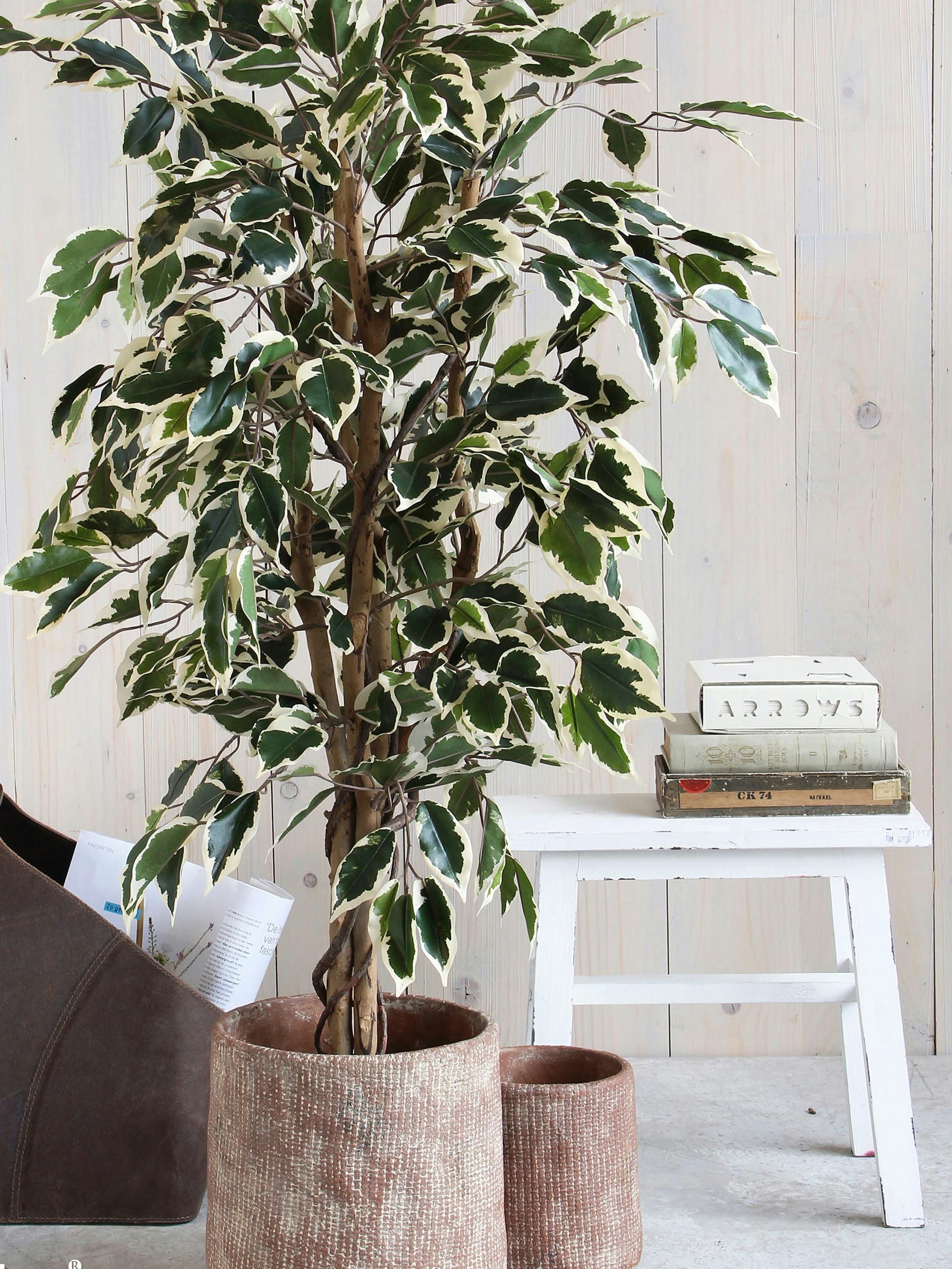 - Ficus artificielle vert panaché en pot H110