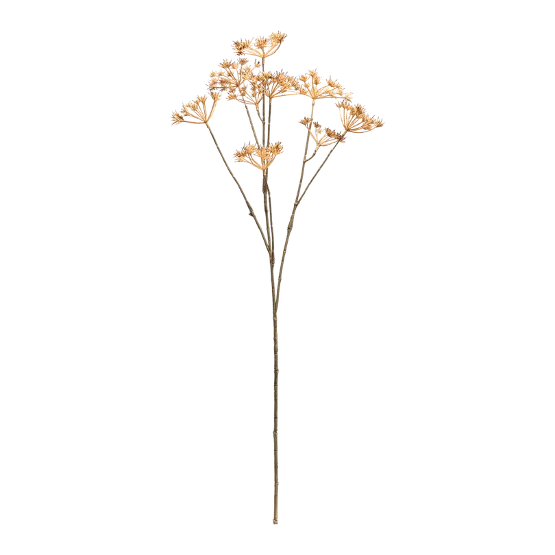 Dekozweig Dried-Grass
