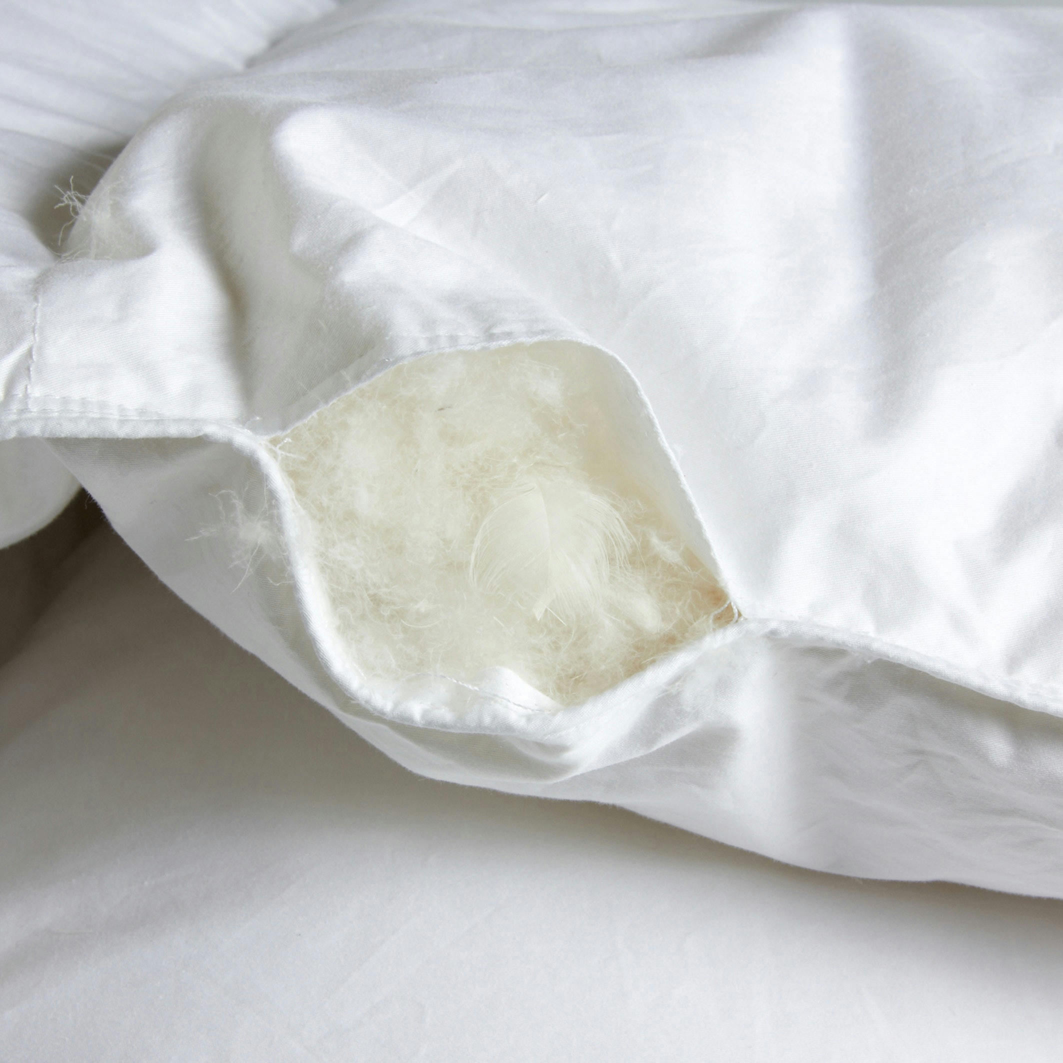 Couette en 90% duvet d'oie, 280g/m², Miglio