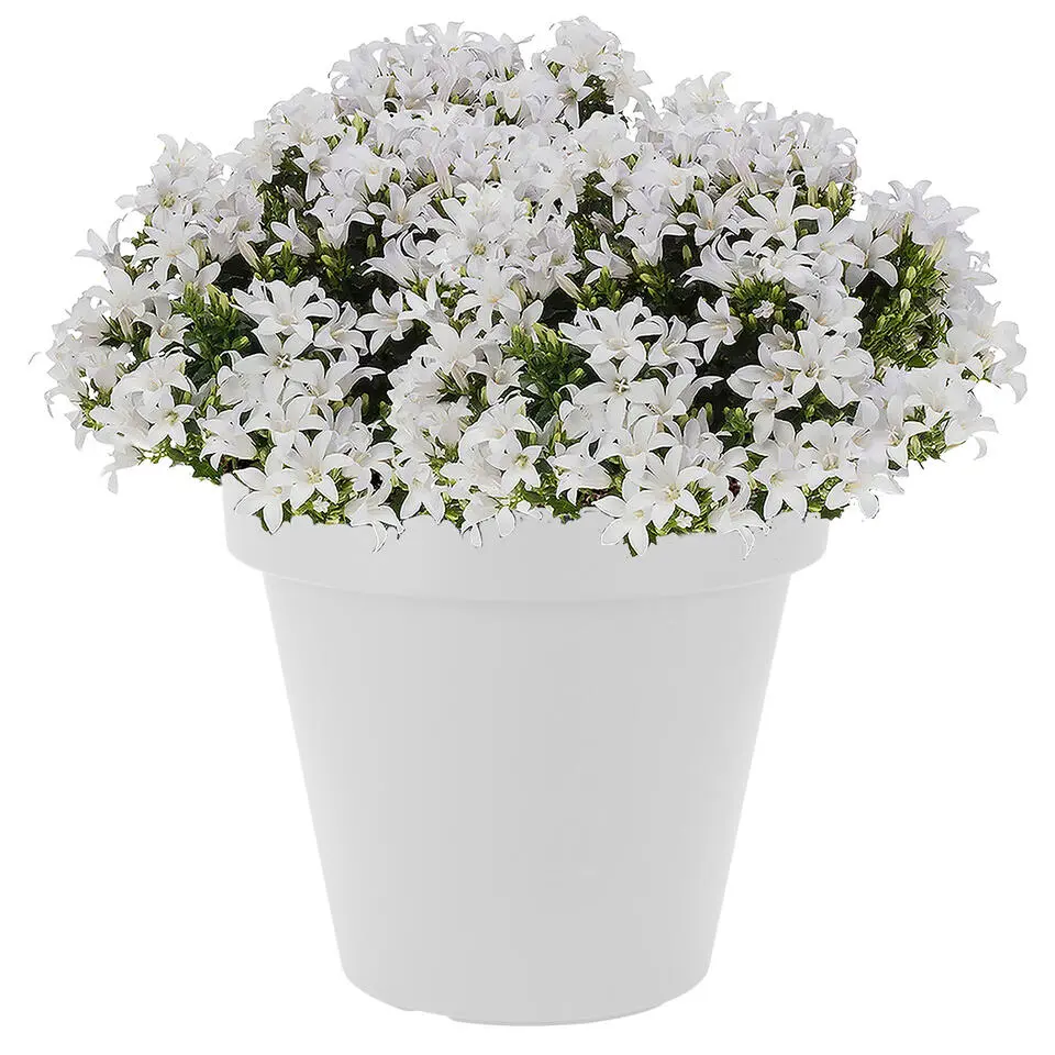 Bloempot - wit - kunststof - rond - 30 cm