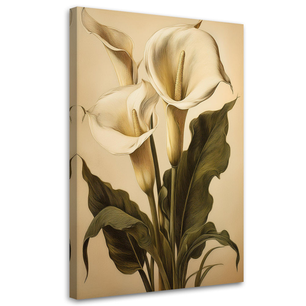 Feeby Obraz na płótnie, Kalia Kwiat Natura Vintage 40x60