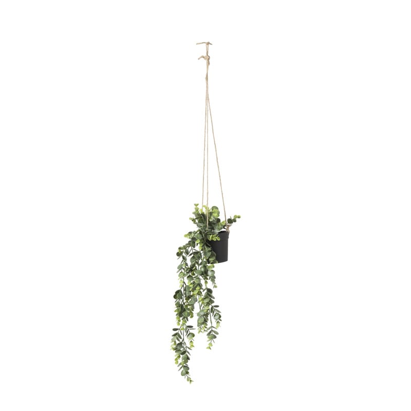 Hangplant - 65 cm