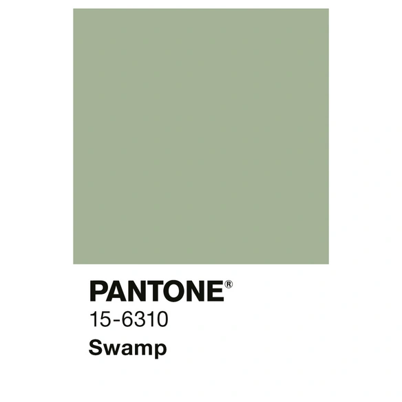 Wandfarbe »PANTONE«, Swamp, matt, 5 l