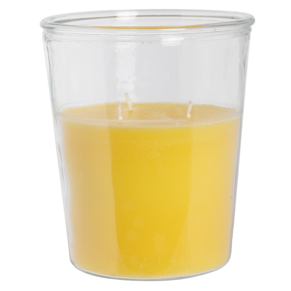 Bougie citronnelle 3 mèches Ø18,5xH21,5cm (4 modèles)