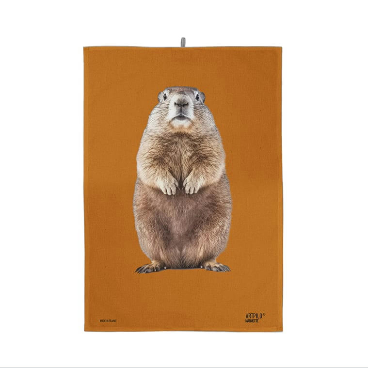 - Torchon style montagne 100% coton blanc