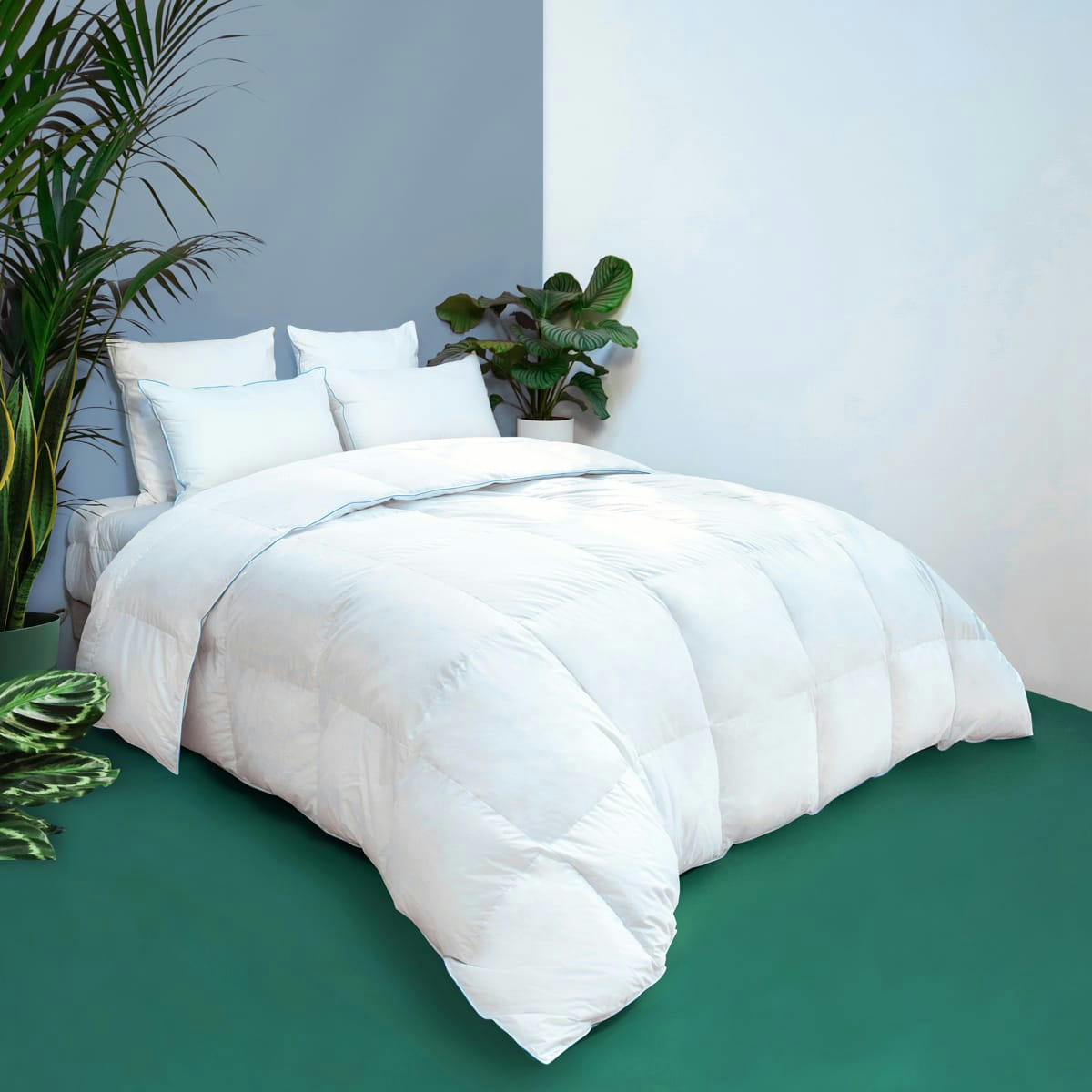 VIOLETTE - Couette TEMPEREE Toucher Duvet - Coton  220x240 cm - Wake Me Green