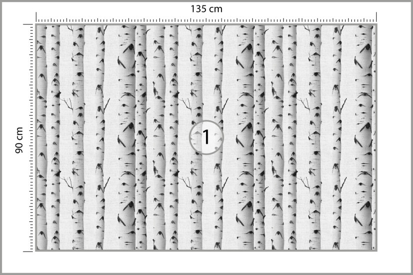 Fototapeta Ścienna Abstrakcyjny Brzozowy Las 135x90cm