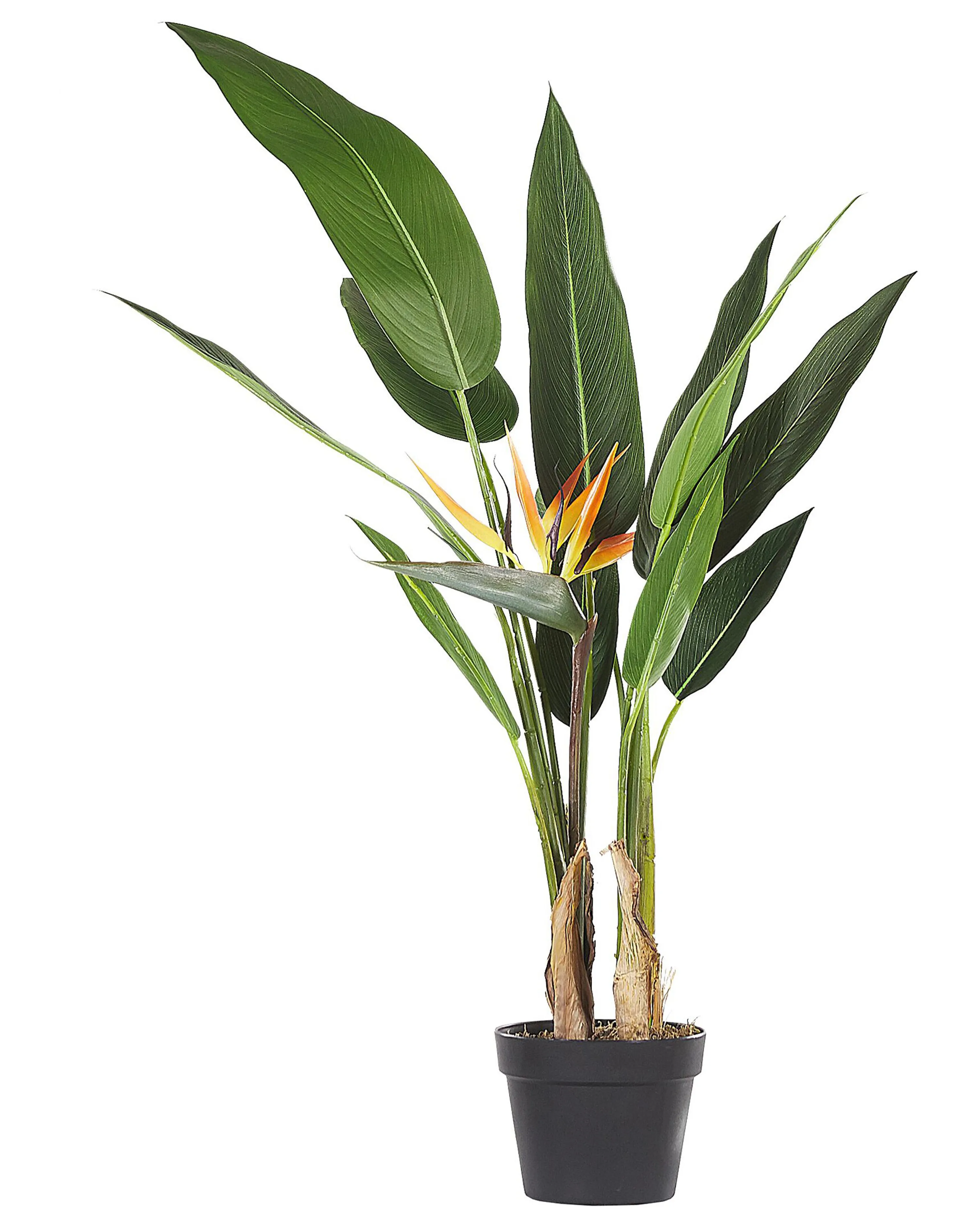 Artificial Plant STRELITZIA TREE 115 cm Green