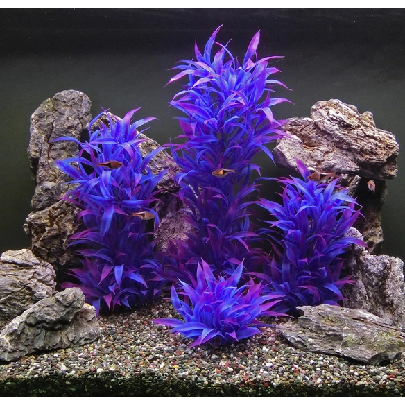 Aquariendekoration, violett