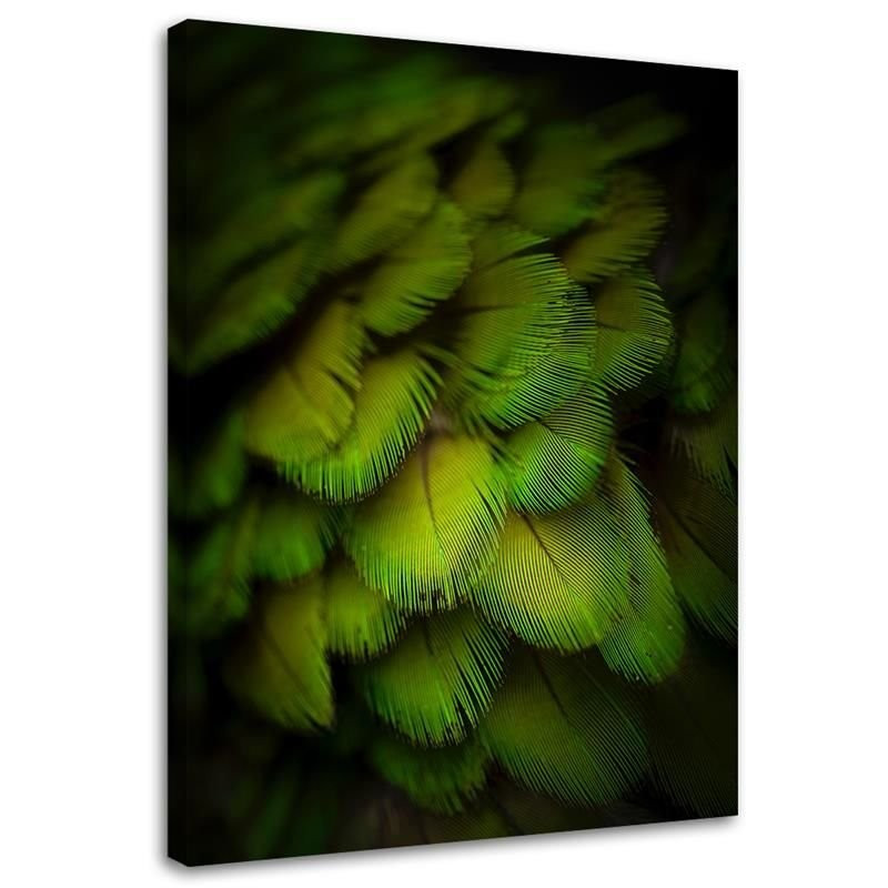 Feeby Obraz na płótnie Ozdobne zielone pióra 40x60