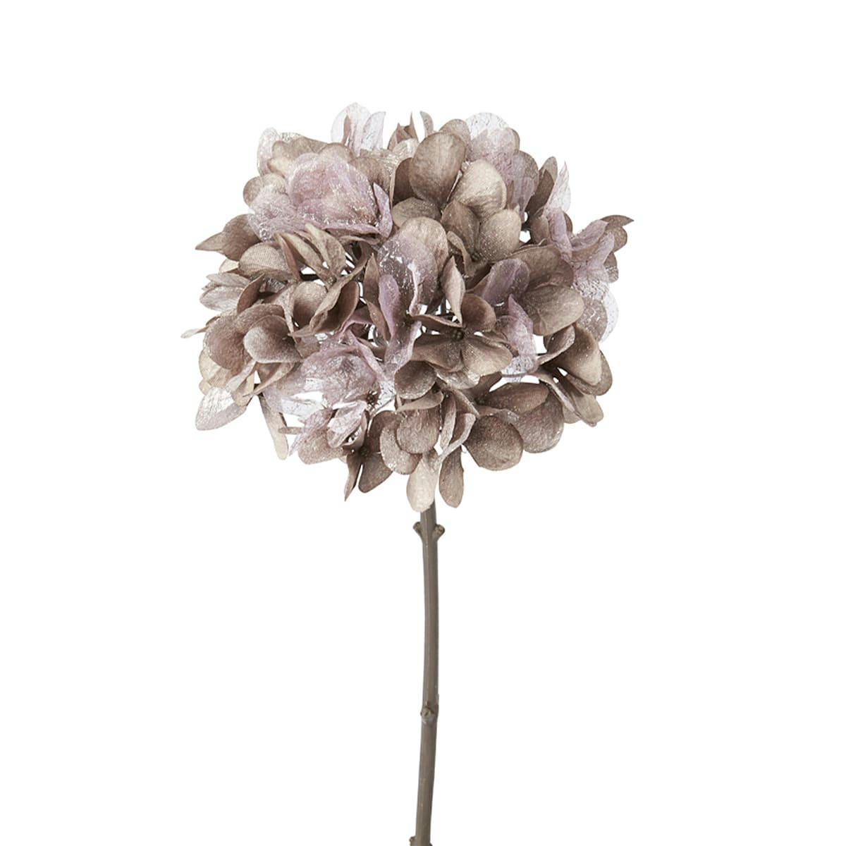CRYSTAL - Hortensia