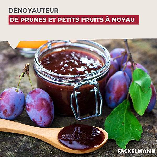 Dénoyauteur de prunes Fackelmann Arcadalina
