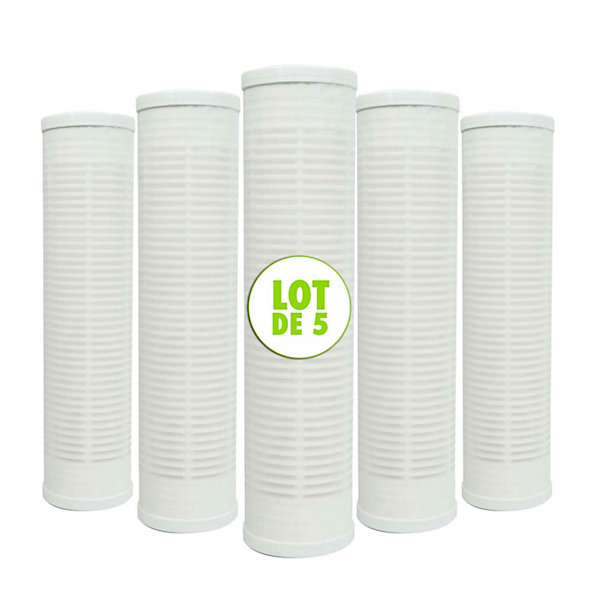 Lot de 5 Cartouches Lavables Nylon Filtre à Eau Sédiments 9 pouces 3/4 - 60 microns Fabriquées en France