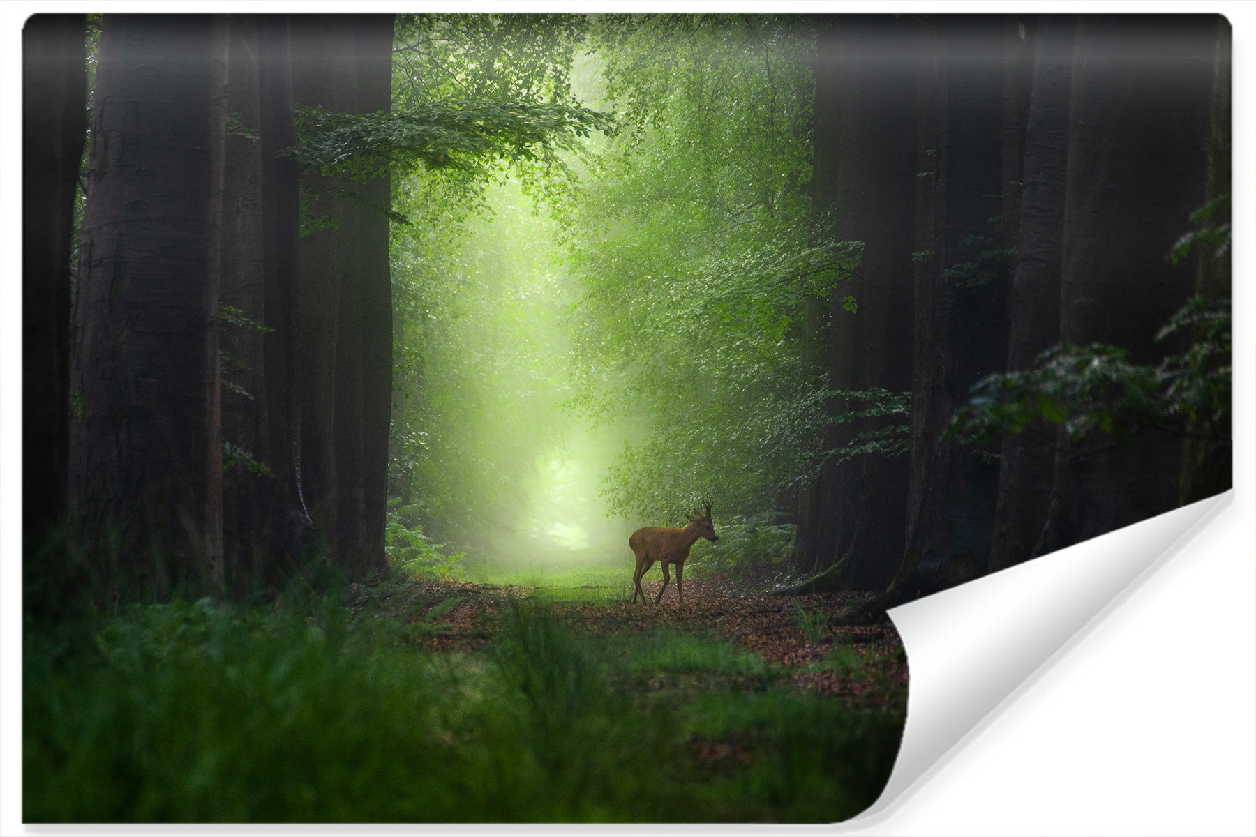 Fototapeta Las JELEŃ Drzewa Natura Wzór 3D 90x60cm