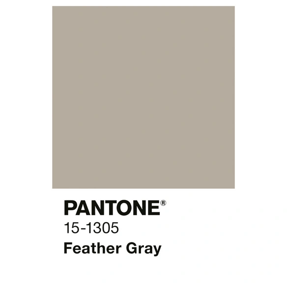 Wandfarbe »PANTONE«, Feather Gray, matt, 2,5 l