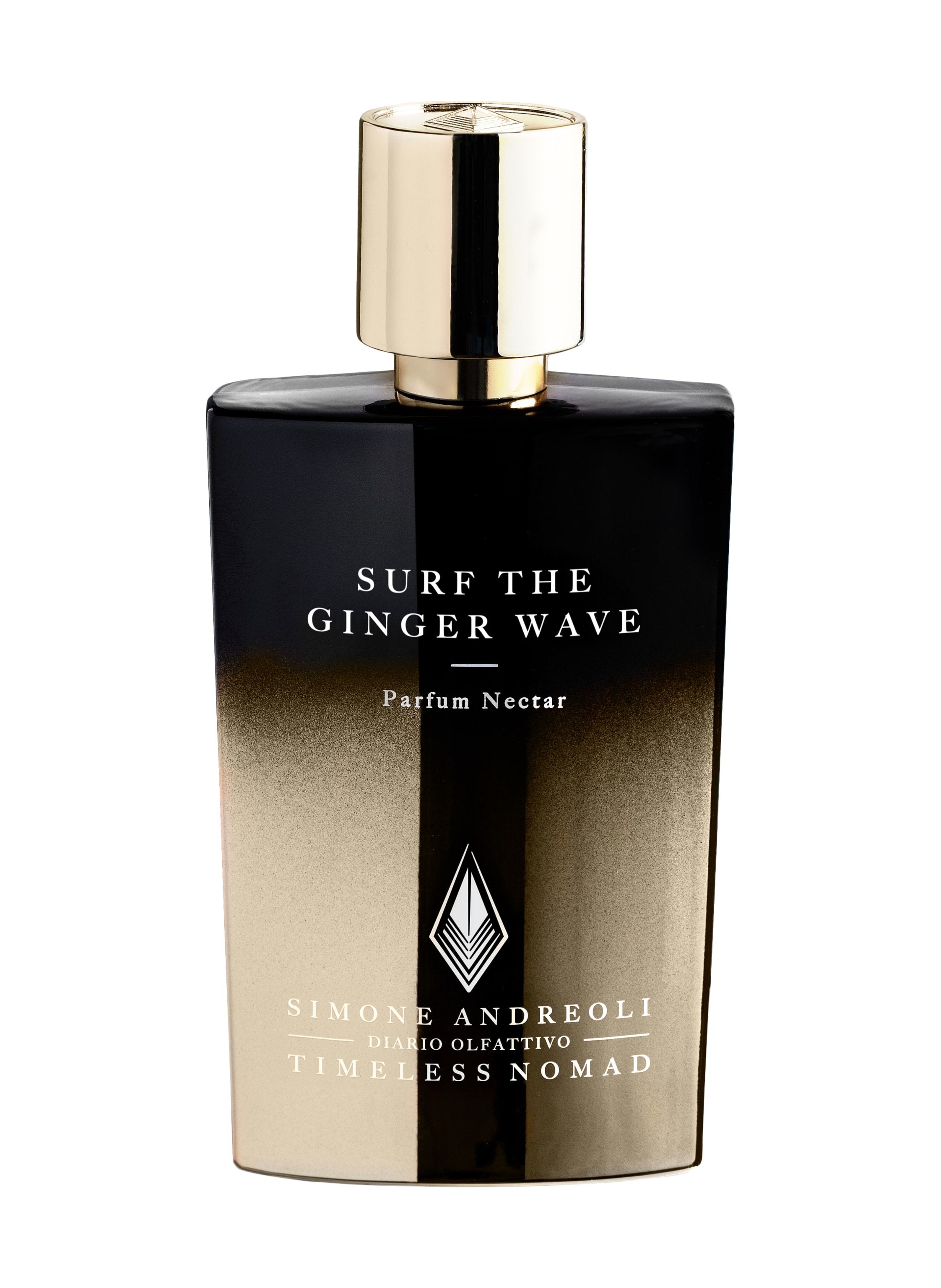 SIMONE ANDREOLI SURF THE GINGER WAVE