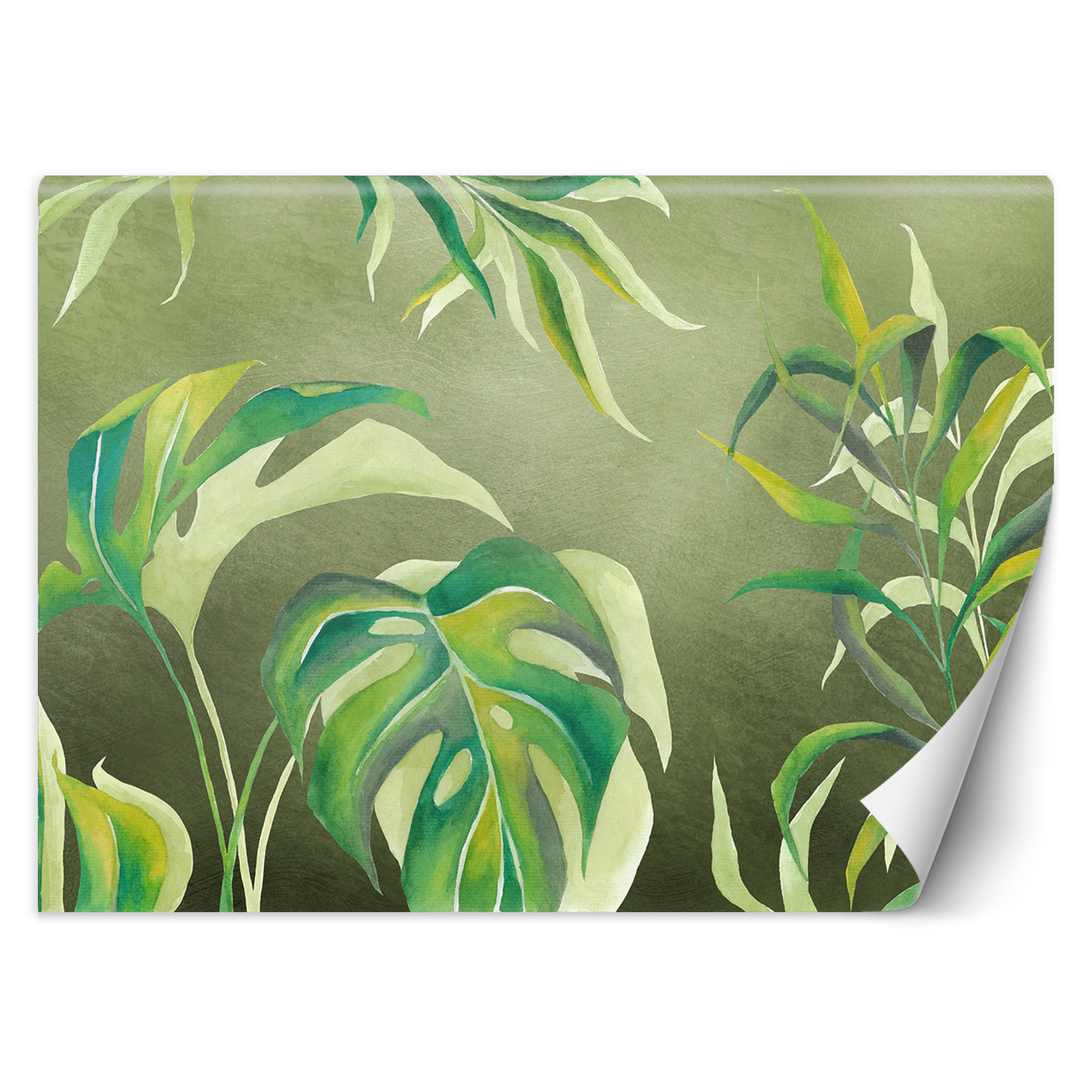 Feeby Fototapeta, Liście Monstera 150x105