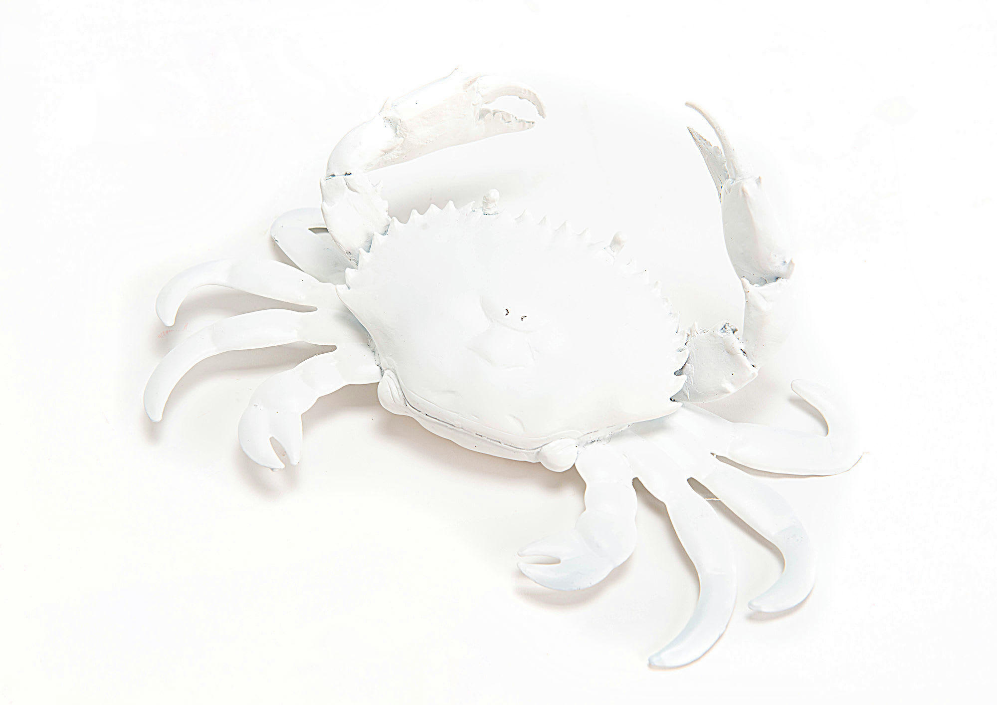 - Crabe blanc résine L26cm
