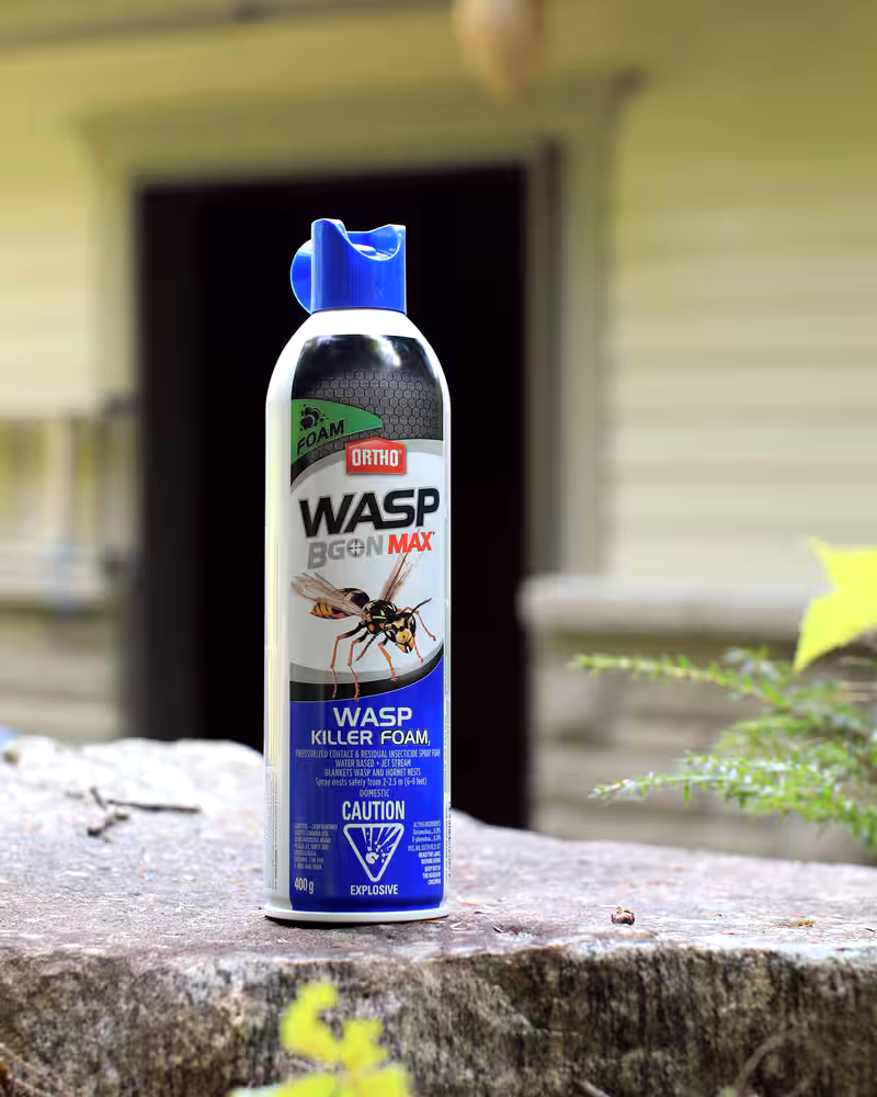Ortho® Wasp B Gon™ MAX Outdoor Foam Wasp Killer Aerosol Spray, 400-g