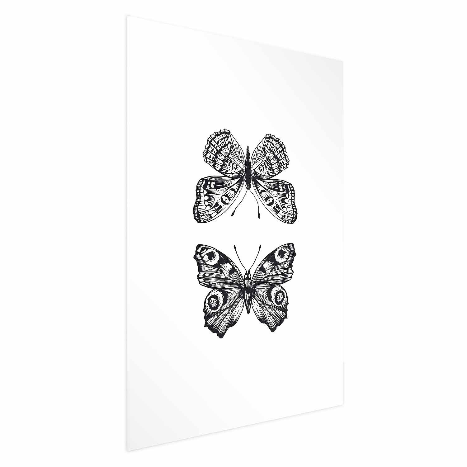 Plakat Dwa motyle 21x30 cm