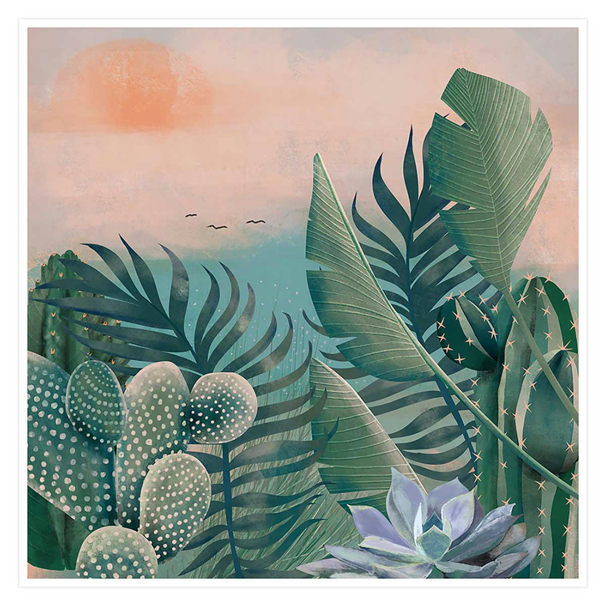 - Affiche illustration jardin succulentes et cie sans cadre 50x50cm