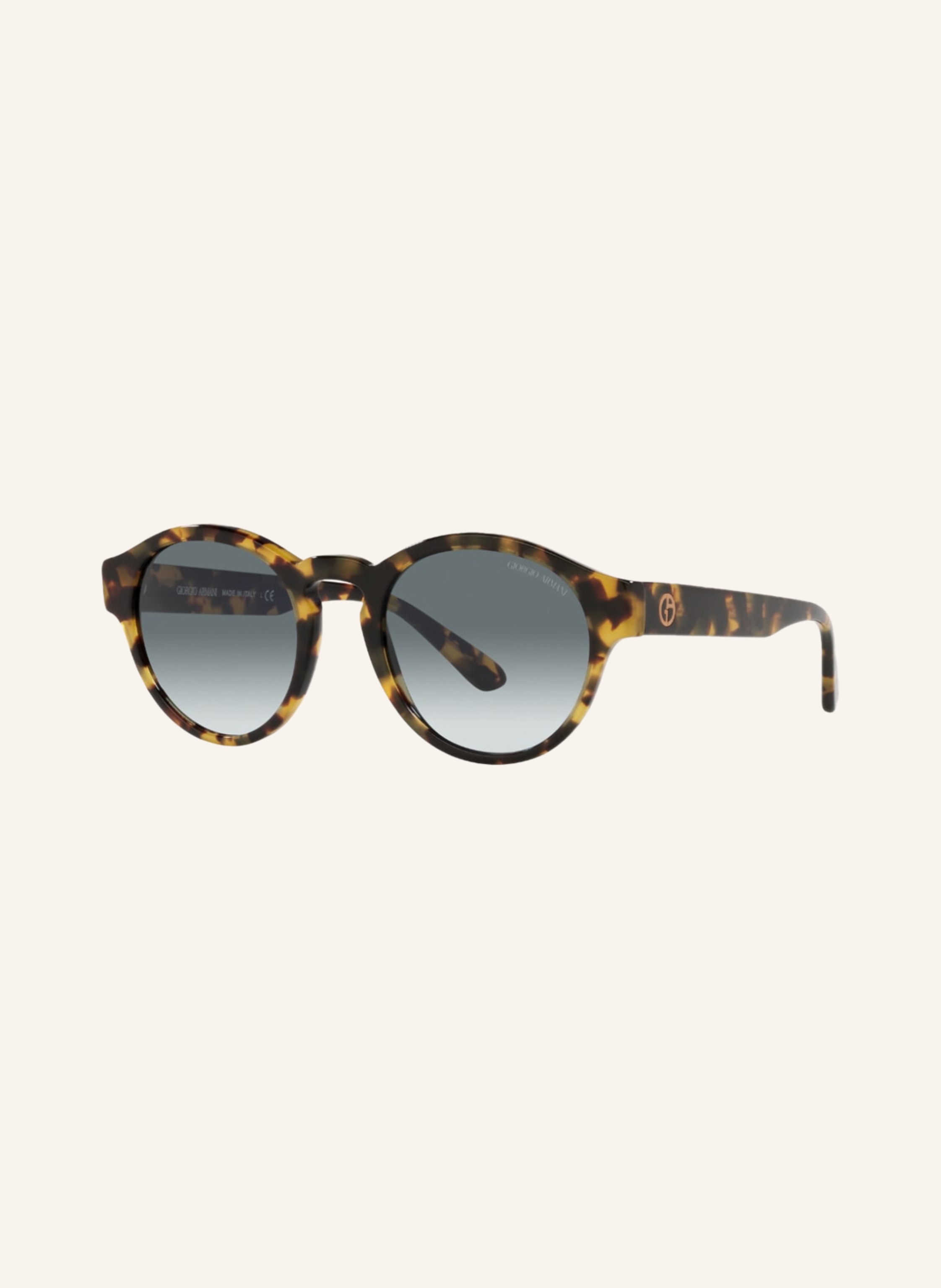 EMPORIO ARMANI Sonnenbrille AR8146