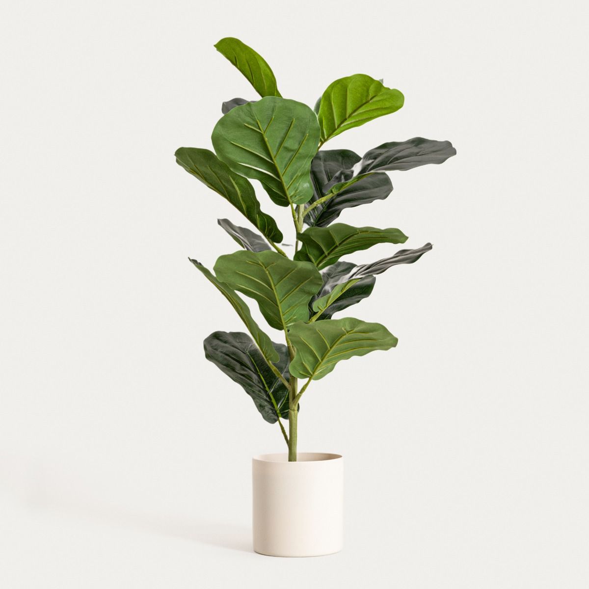 Roślina sztuczna BOTANIC fikus 58 cm