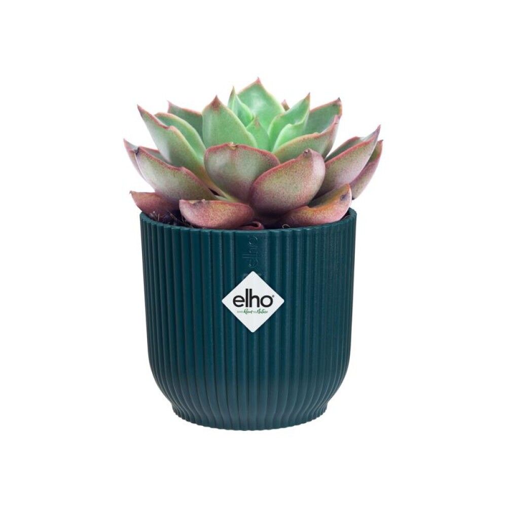 INNEPOTTE ELHO VIBES FOLD ROUND MINI Ø11CM BLÅ