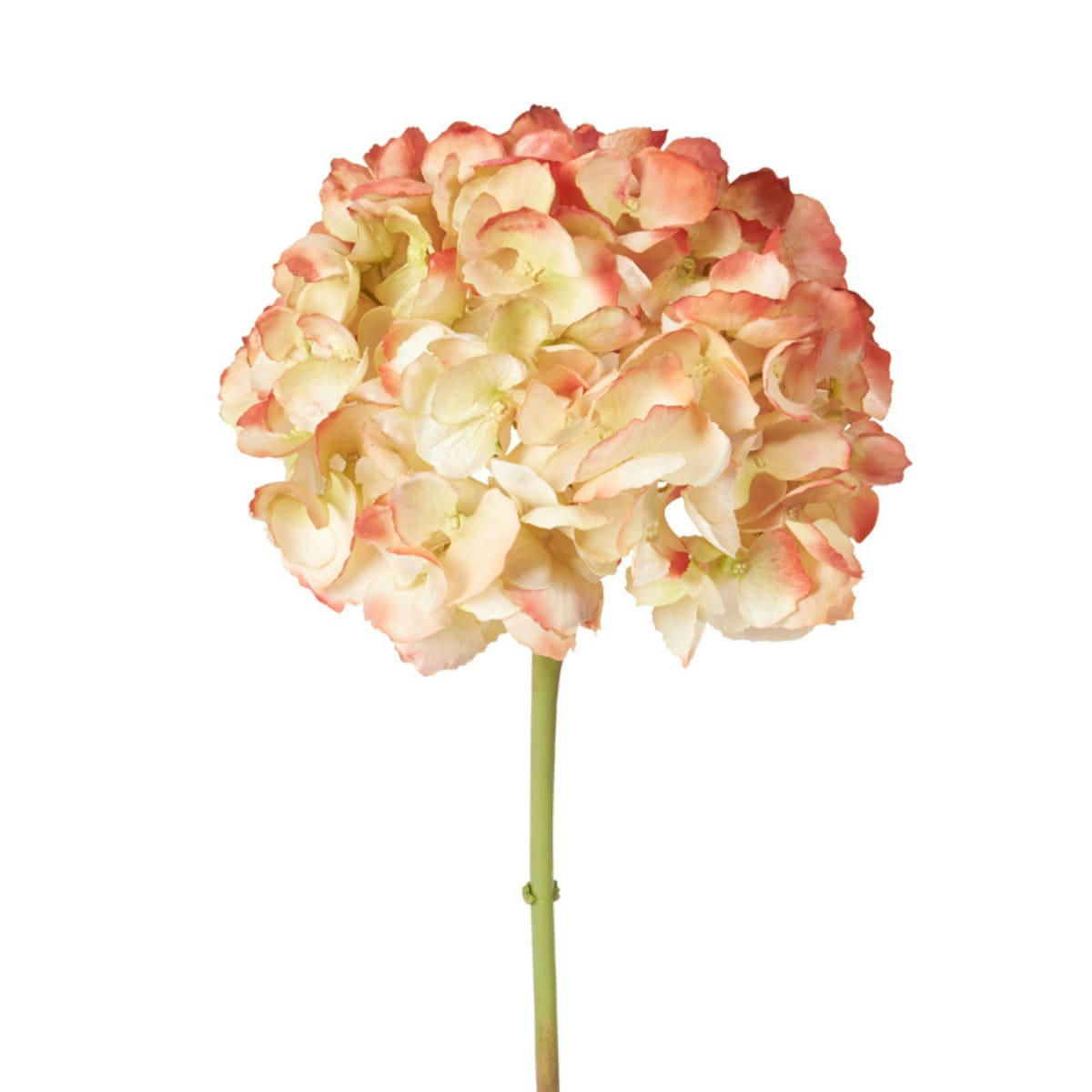 - Hortensia effet séché artificielle orange et blanche H48