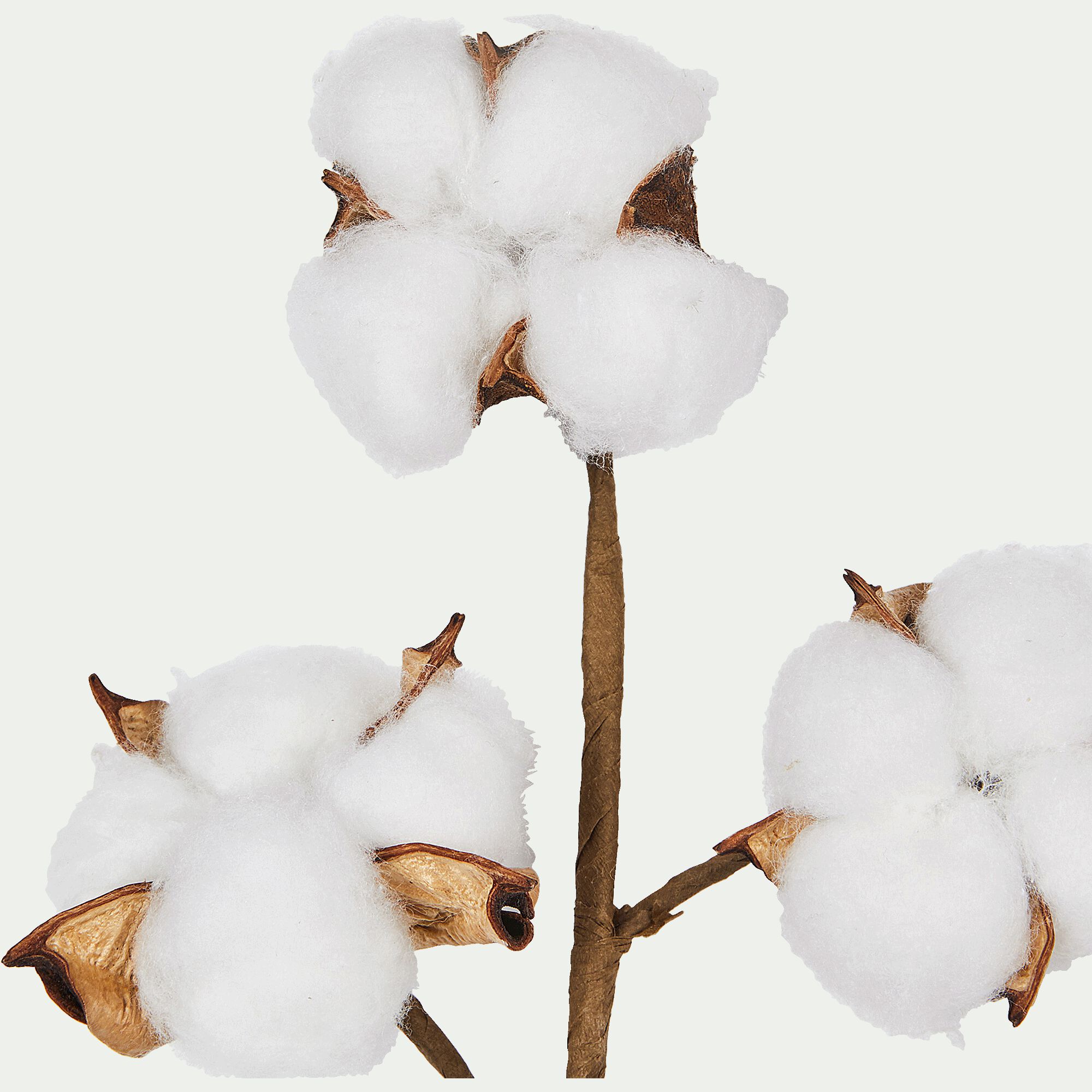 GOSSYPIUM - Tige artificielle de coton - blanc H19cm