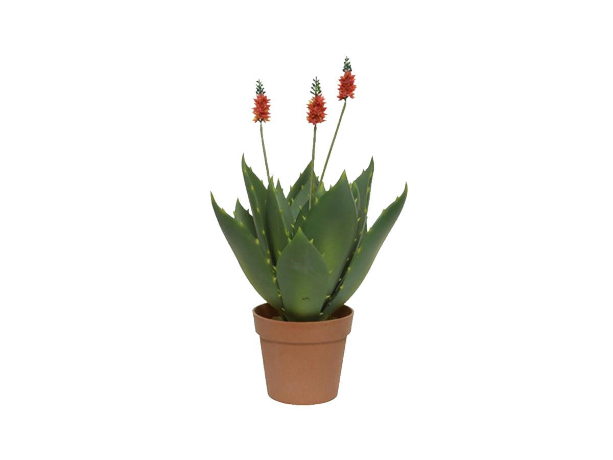 - Agave fleurie artificielle en pot plastique vert et rouge