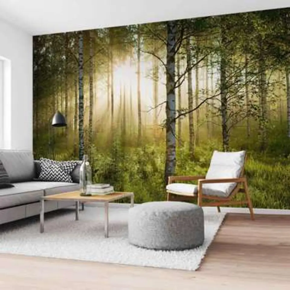 Fotobehang Zonnestralen in berkenbos - 260 x 384 - Groen