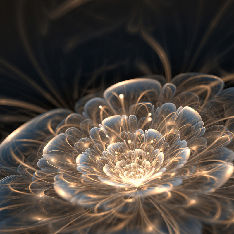 Impression sur plexiglass Fleur de lumière 90 x 90 cm CEANOTHE