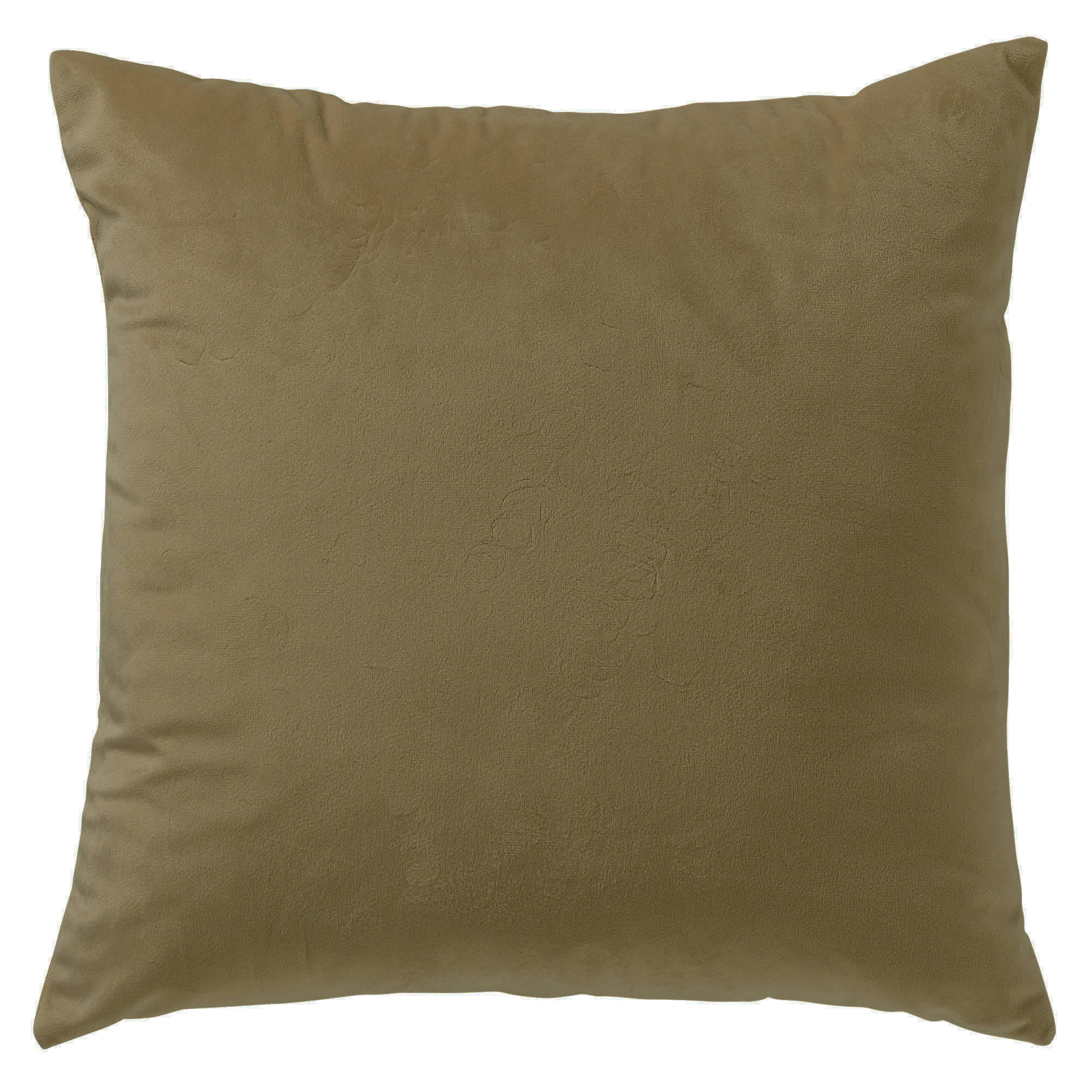 - Housse de coussin vert en velours-40x40 cm avec imprimé animalier