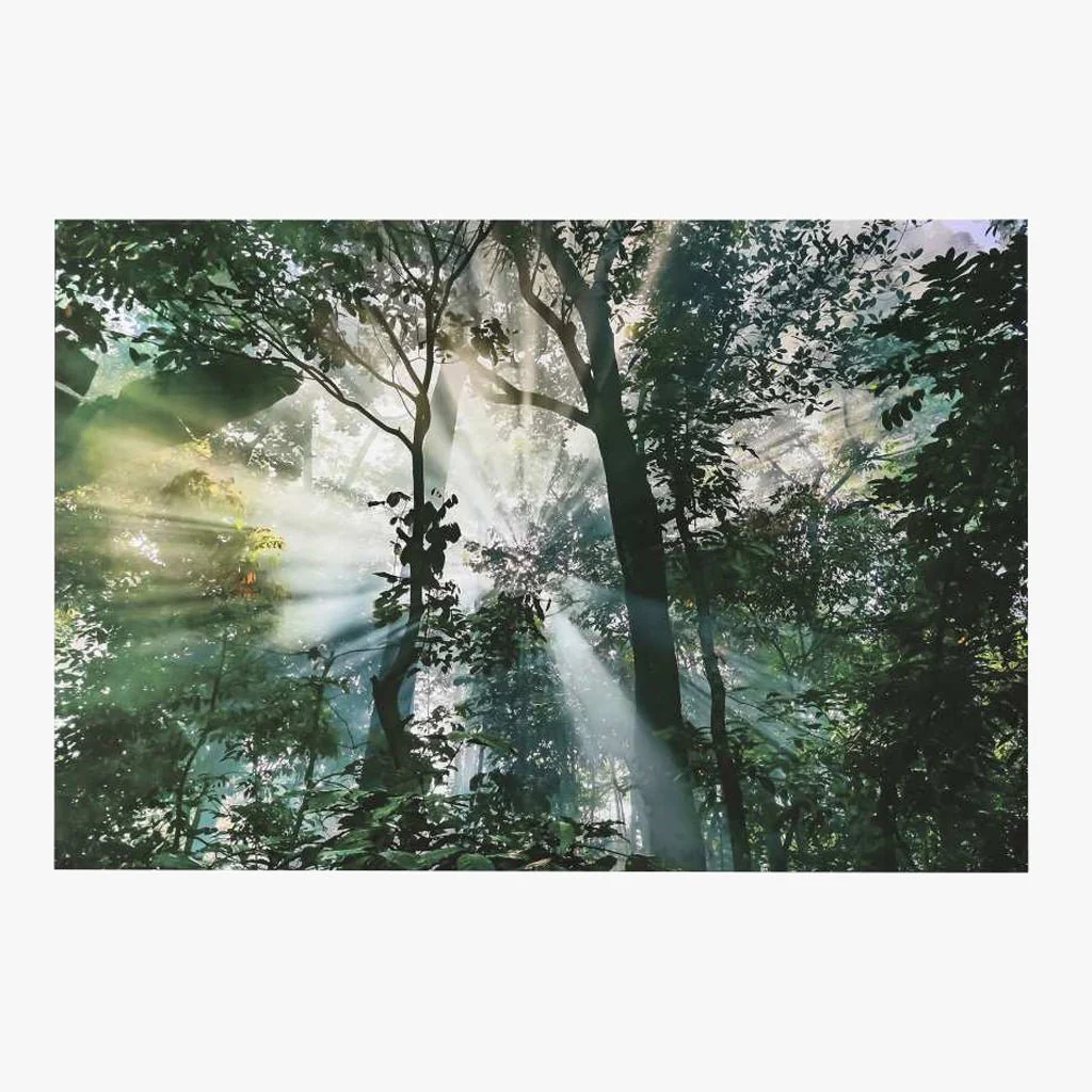 Quadro Vidro Arvores 150x100