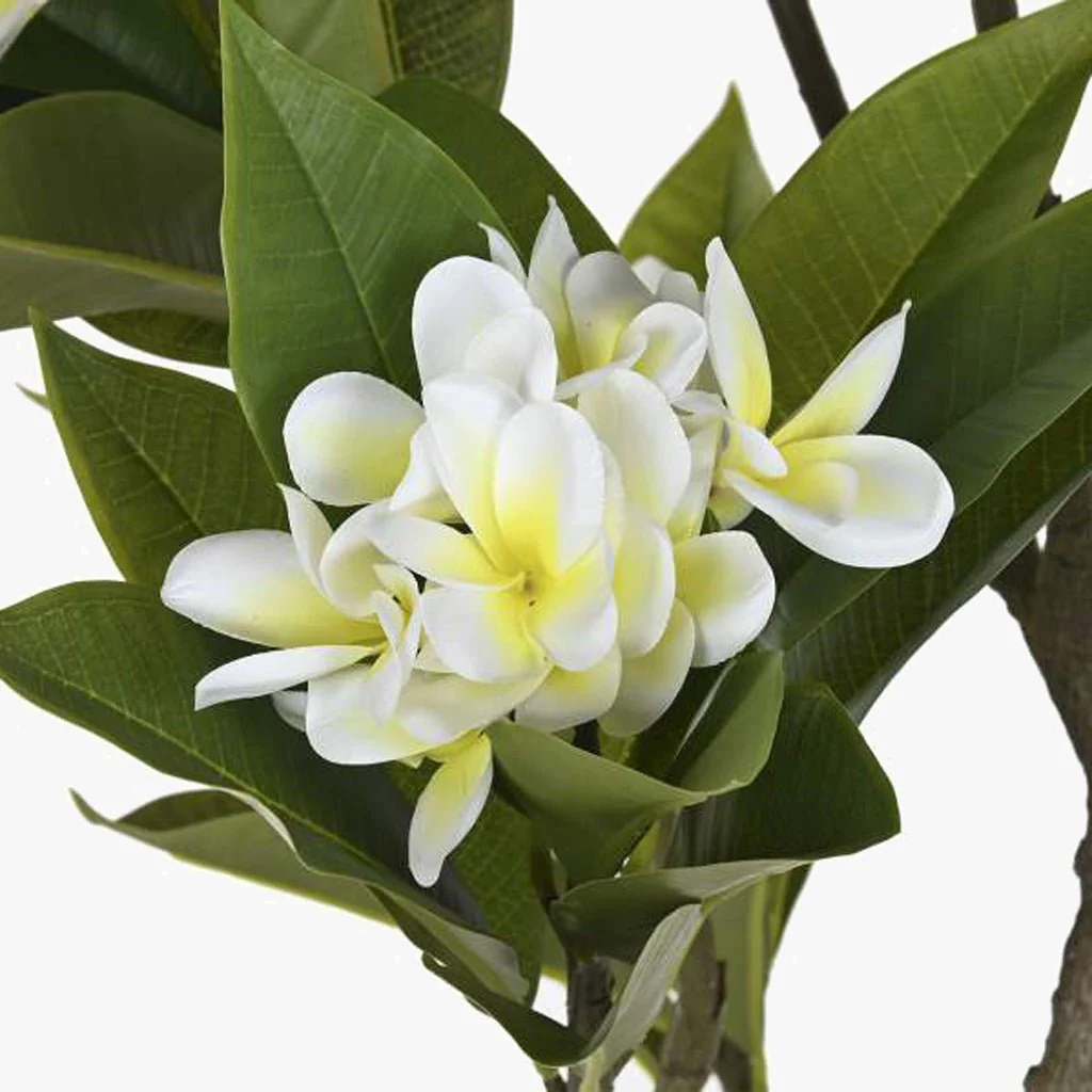 Árvore Flor Jasmim 150cm EVERLEAF
