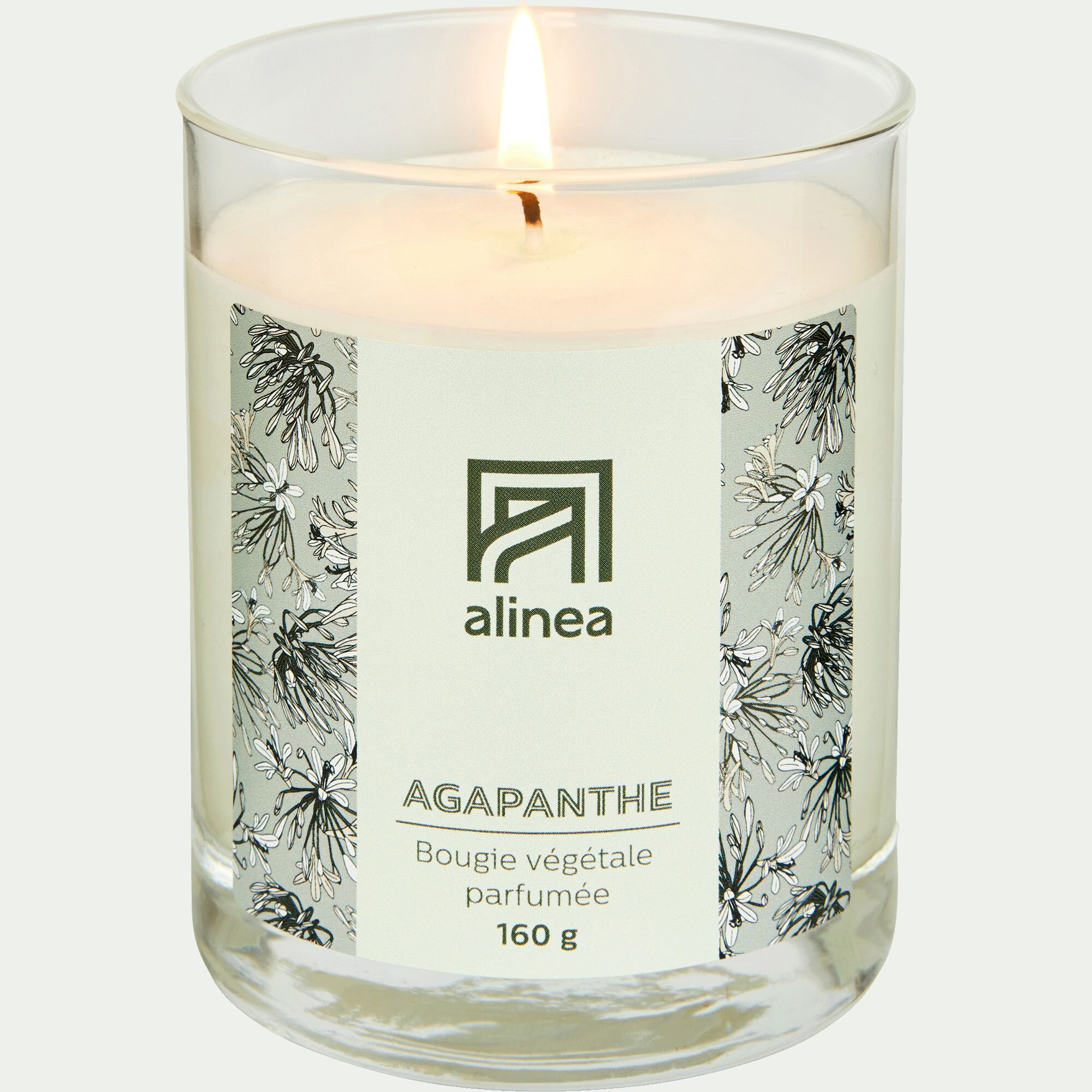 SIGNATURE - Bougie parfumée senteur Agapanthe 160g