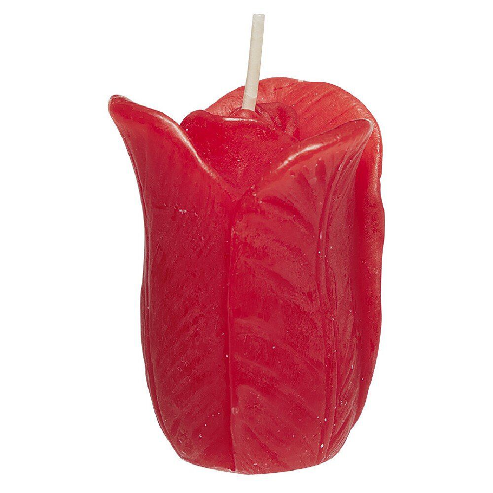 Bougie parfumée forme tulipe Ø4 xH6 cm